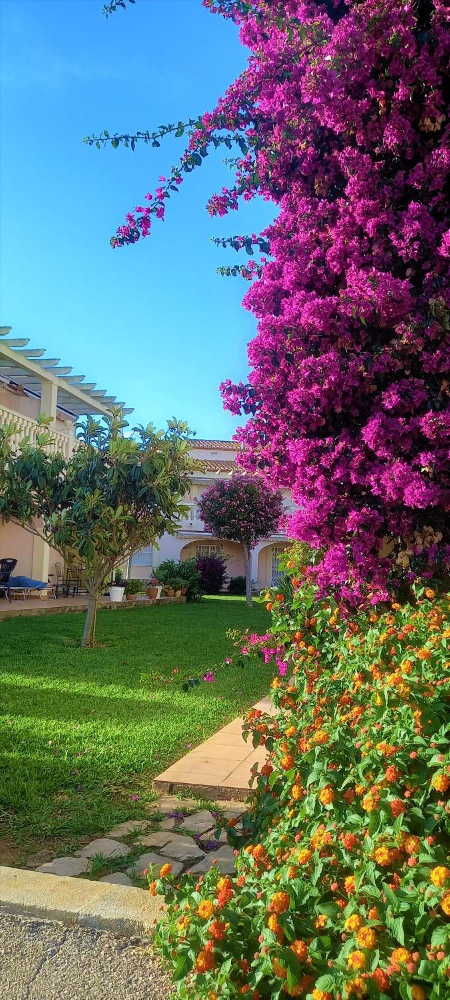 La Giralda 2 Denia Les Marines Apartment Exterior photo